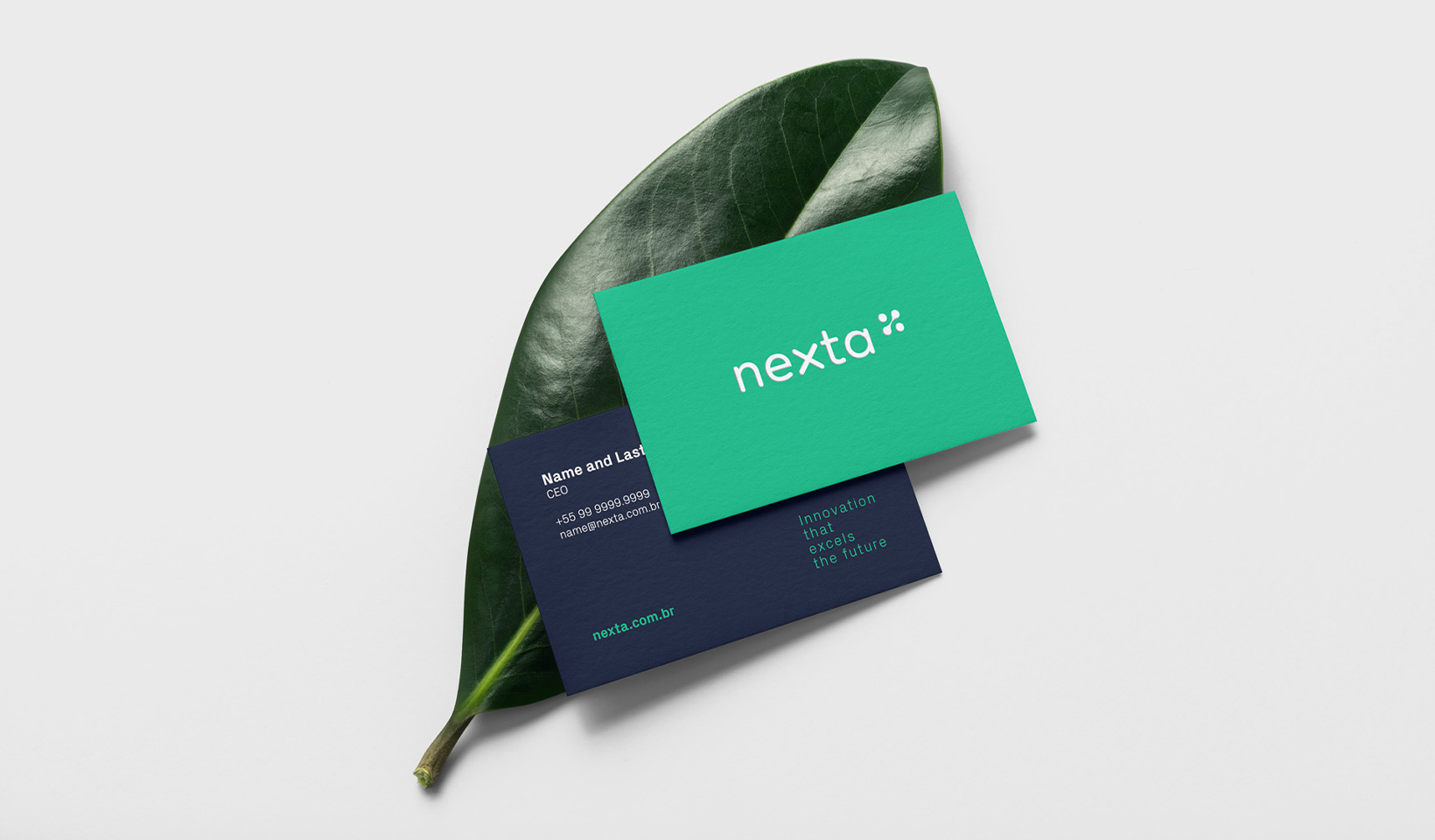 Nexta 品牌形象