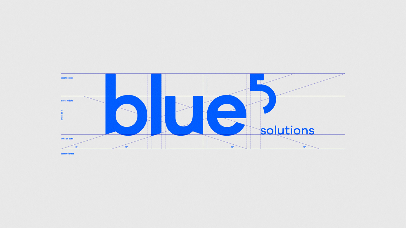 Blue 5 Solutions 品牌LOGO