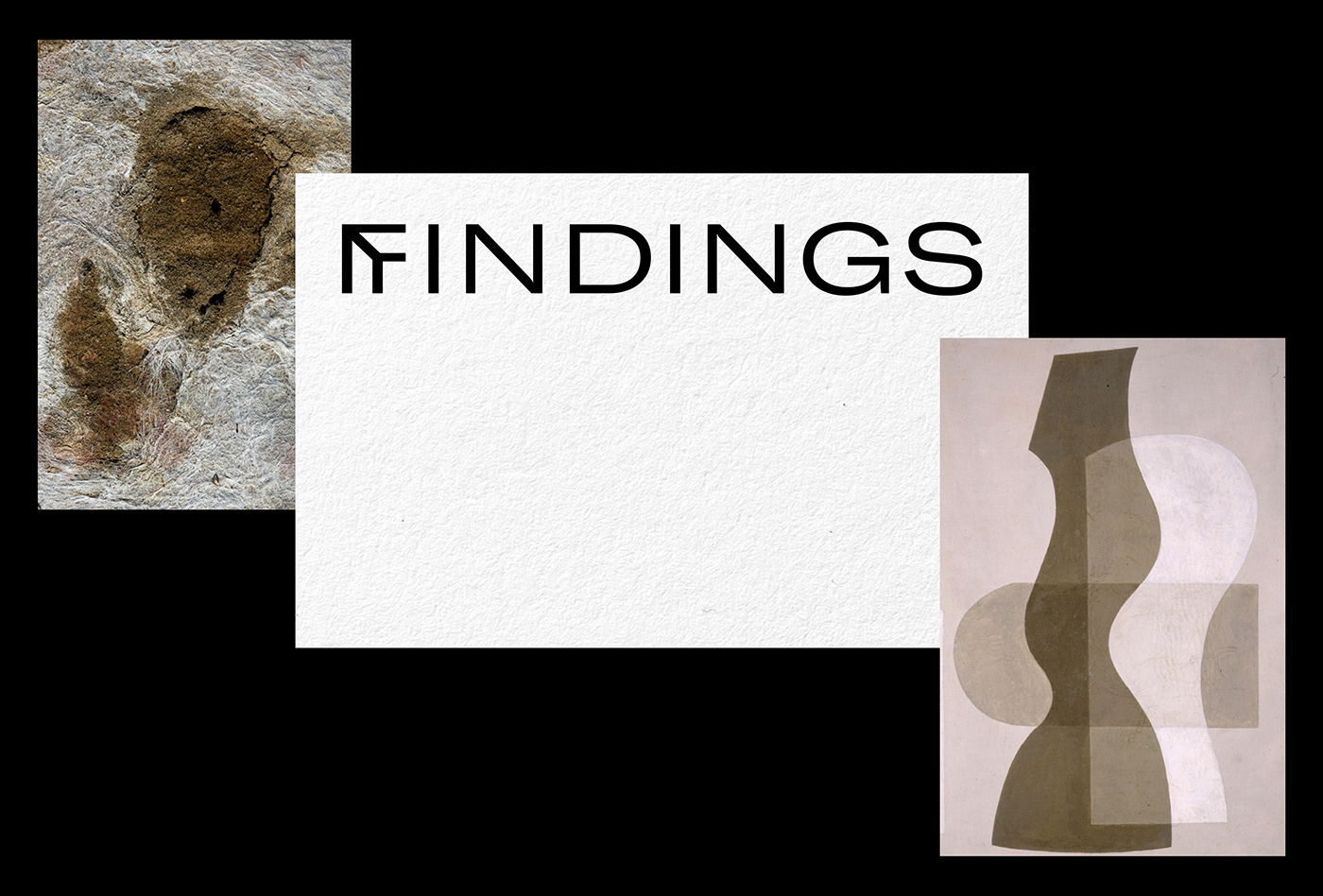 Findings 品牌形象