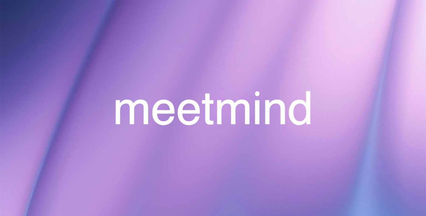 Meetmind 品牌标准字体