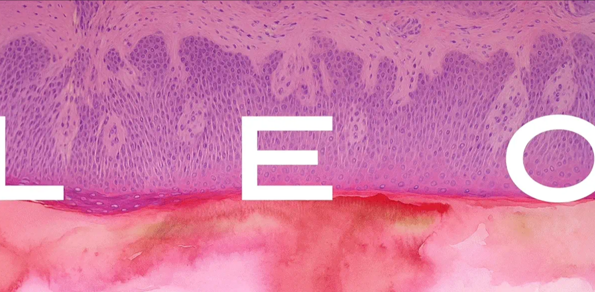 医药公司品牌设计